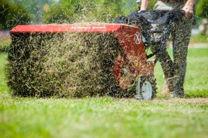 Fall dethatching -- when to stop mowing