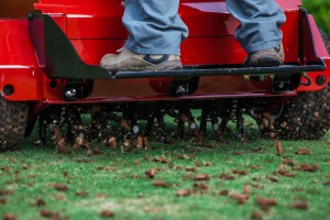 Aeration -- when to stop mowing